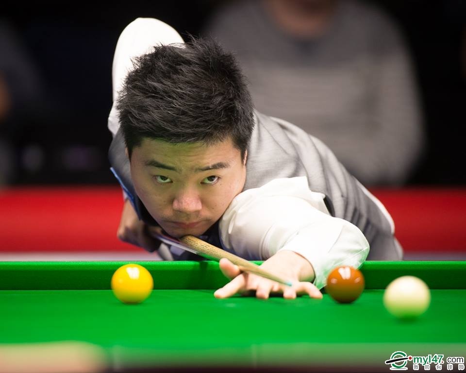 手道的观众 手道的观众