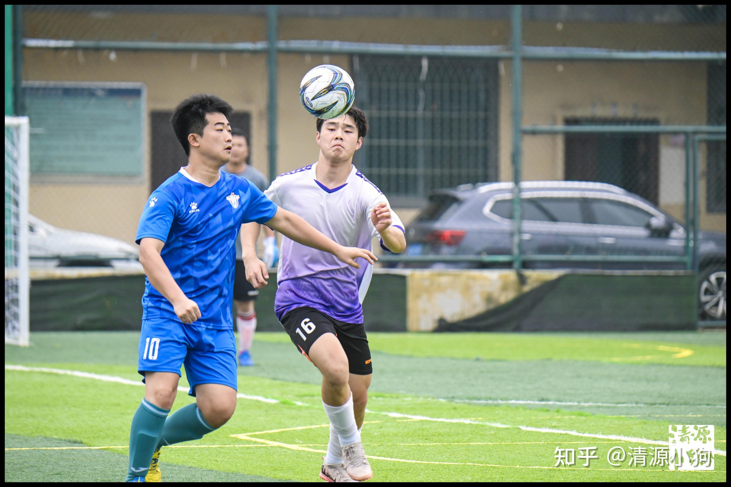 的高效组织 的高效组织